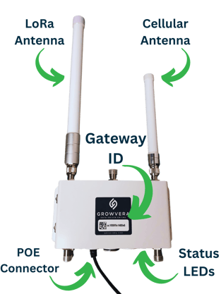 RAK Outdoor Gateway Anatomy