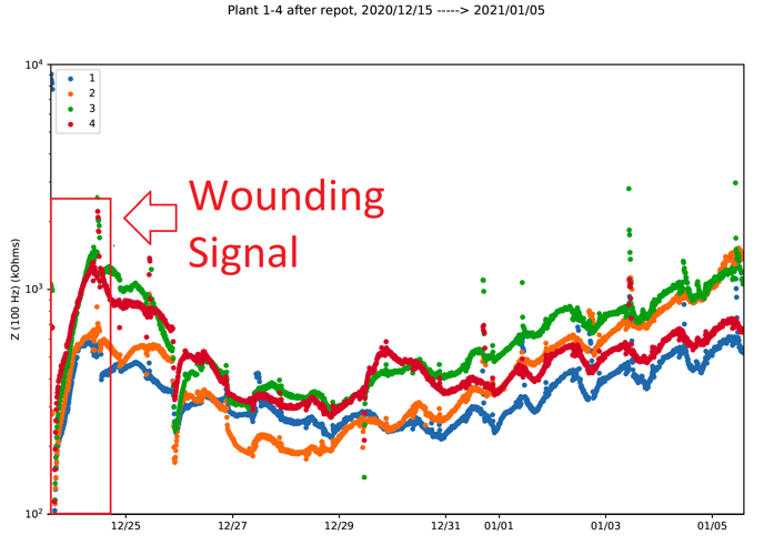 Wounding Signal